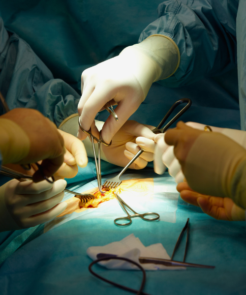 surgical training session